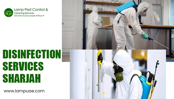 maicletom's tweet image. Villa pest control Dubai:- Looking for reliable pest control services in Dubai? Lamp Pest Control has got you covered! Specializing in cockroaches #pest_control in Sharjah and disinfection services in Sharjah. Say goodbye to pests with Lamp Pest Control. lampuae.com/pest-control-s…