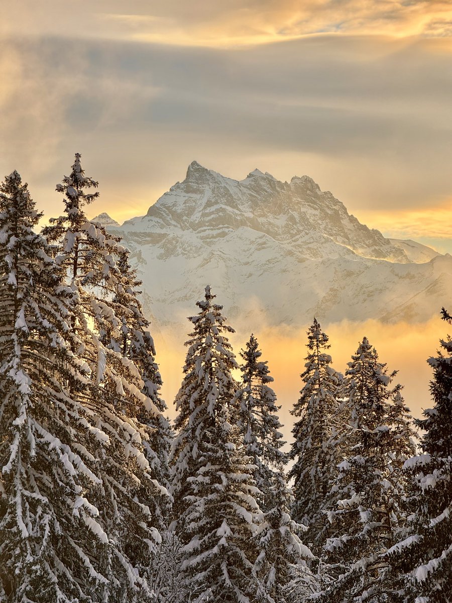 There are two types of people driving down the road at 8am these days in the village. Those delivering skiers to catch the first chairlift up and those heading to Heiz to buy a bag of pain au chocolate.  Which type are you?  ⛷️ / 🥐  🧐