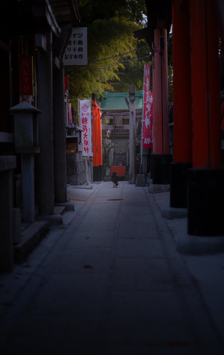 Fushimi-Inari pics from 23' 

#伏見稲荷大社 #photograghy #Japan