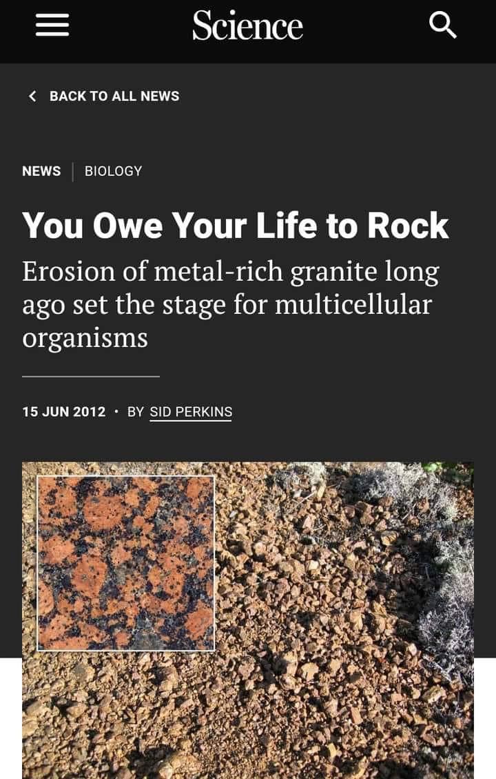 Not Evolution tweet media