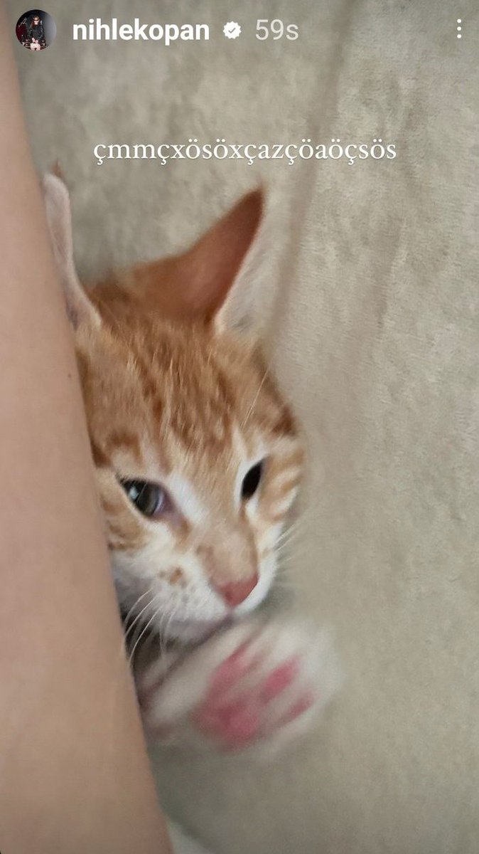 Hi Lili ,I hope you are doing  ok ..your Mommy  Nihle  don't want you to escape  that's why she always close  the window  .<a href="/nihlekopan/">nihlekopan</a> #NihleKopan