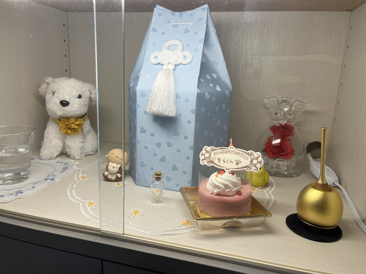 少し時間が経ってしまいましたが、今年の5月にマルチーズのそらくんが虹の橋を渡りました
元気いっぱいで遊ぶのが大好きだったそらくん、
おじいちゃんになって少しずつ寝てる時間が増えたけど、最期まで大きな病気に罹ることなく過ごしてくれました
本日で19歳。誕生日おめでとう🍰