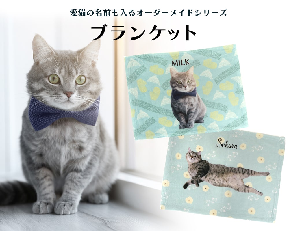 ねこかぞく (@nekokazoku222) / Posts / X