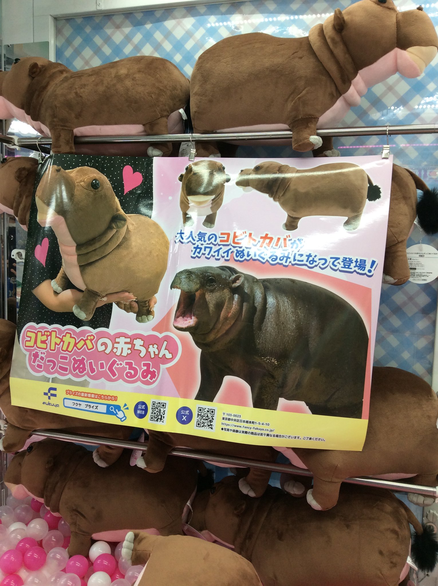 Gfyvq3FbgAAxfha.jpg:large