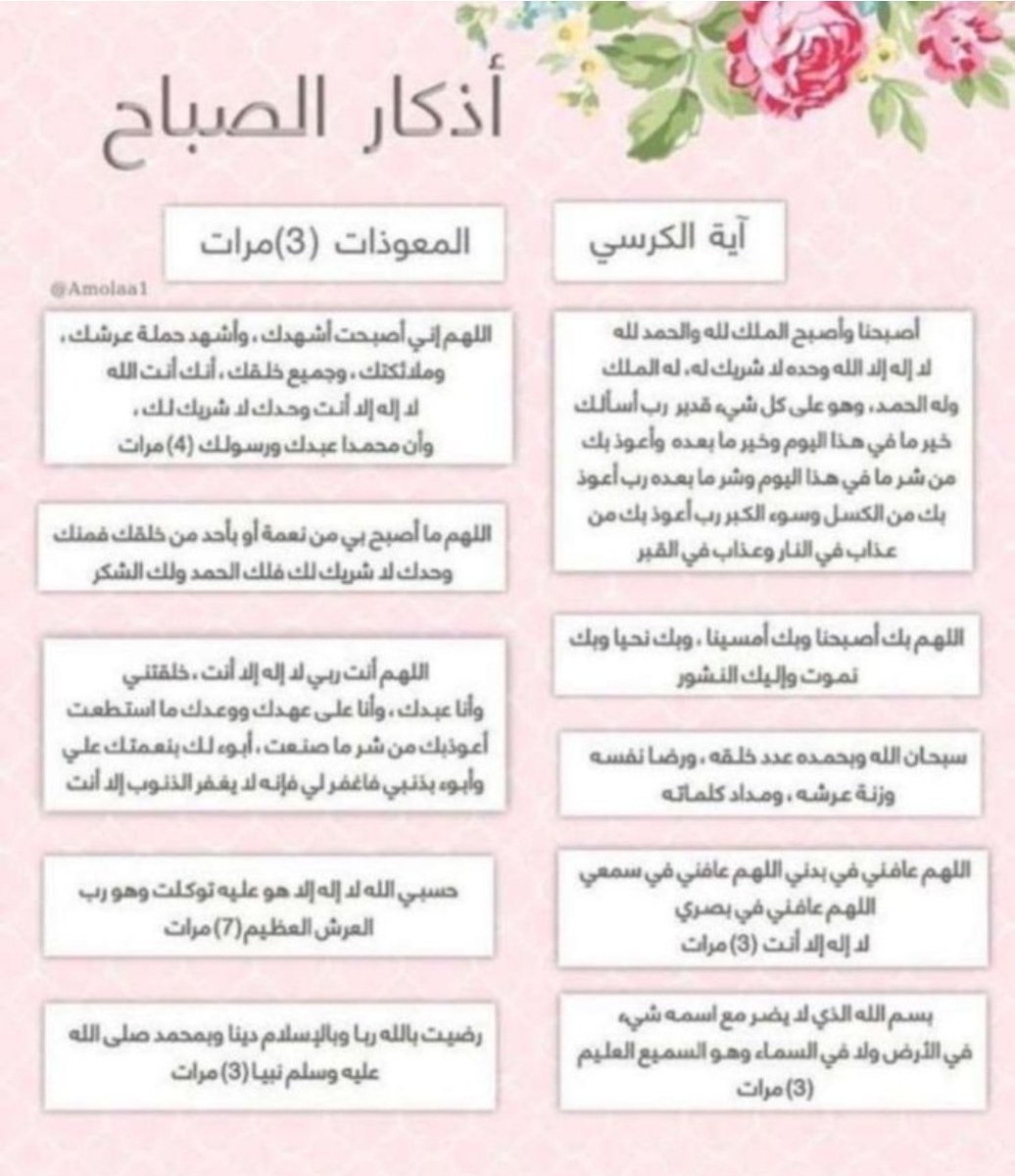 آلُبتۆلُ🌸💜🐎 tweet media