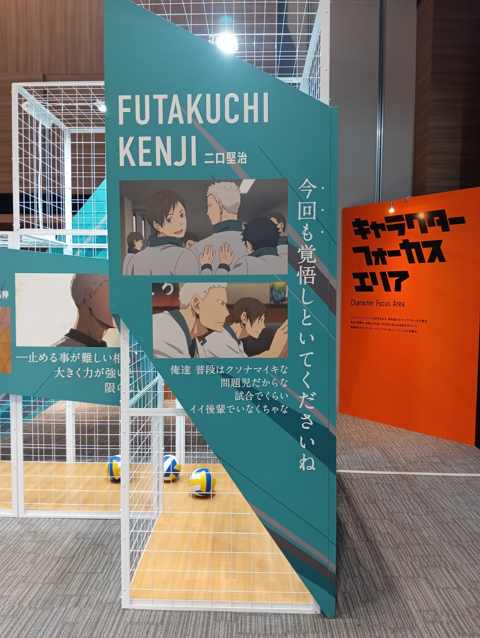 ナ*ツ様 ハイキュー（10-28.31-45）+他 ナ*ツ様 ハイキュー（10-28.31-45）+他 ハイキュー10周年記念展