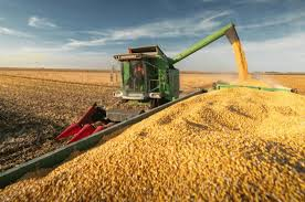 #TodosEnLaOcho "Cada 100 pesos de renta agrícola que tiene un productor 64 van a parar a impuestos. Comparado con 2023 aumentó 5 puntos. En 2024 cayeron los precios de los granos, hay un menor efecto del dólar exportador <a href="/NatiArinio/">Natalia Ariño</a> <a href="/FundacionFada/">Fundación FADA</a>