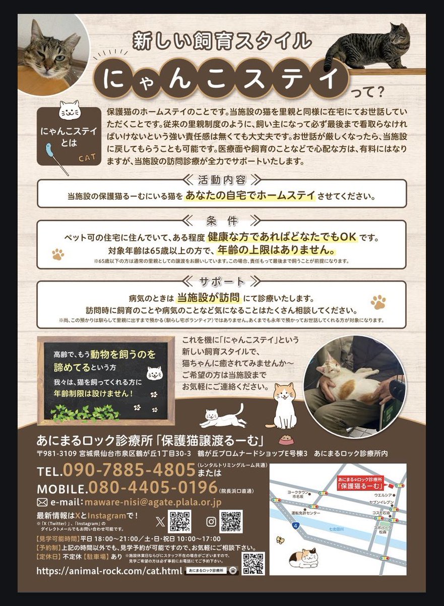 保護猫譲渡るーむ tweet media