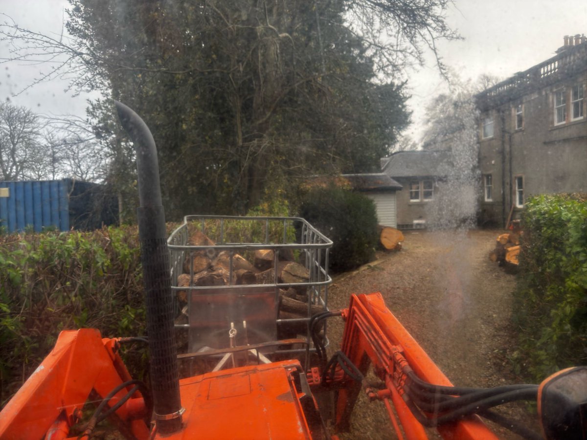 Busy today re-stocking our wood supplies so that we can continue to cozy up around a real fire over the festive period!  I bring the wood, my boys keep the fire going, and my wife makes the best hot chocolate!  🪵🔥☕️