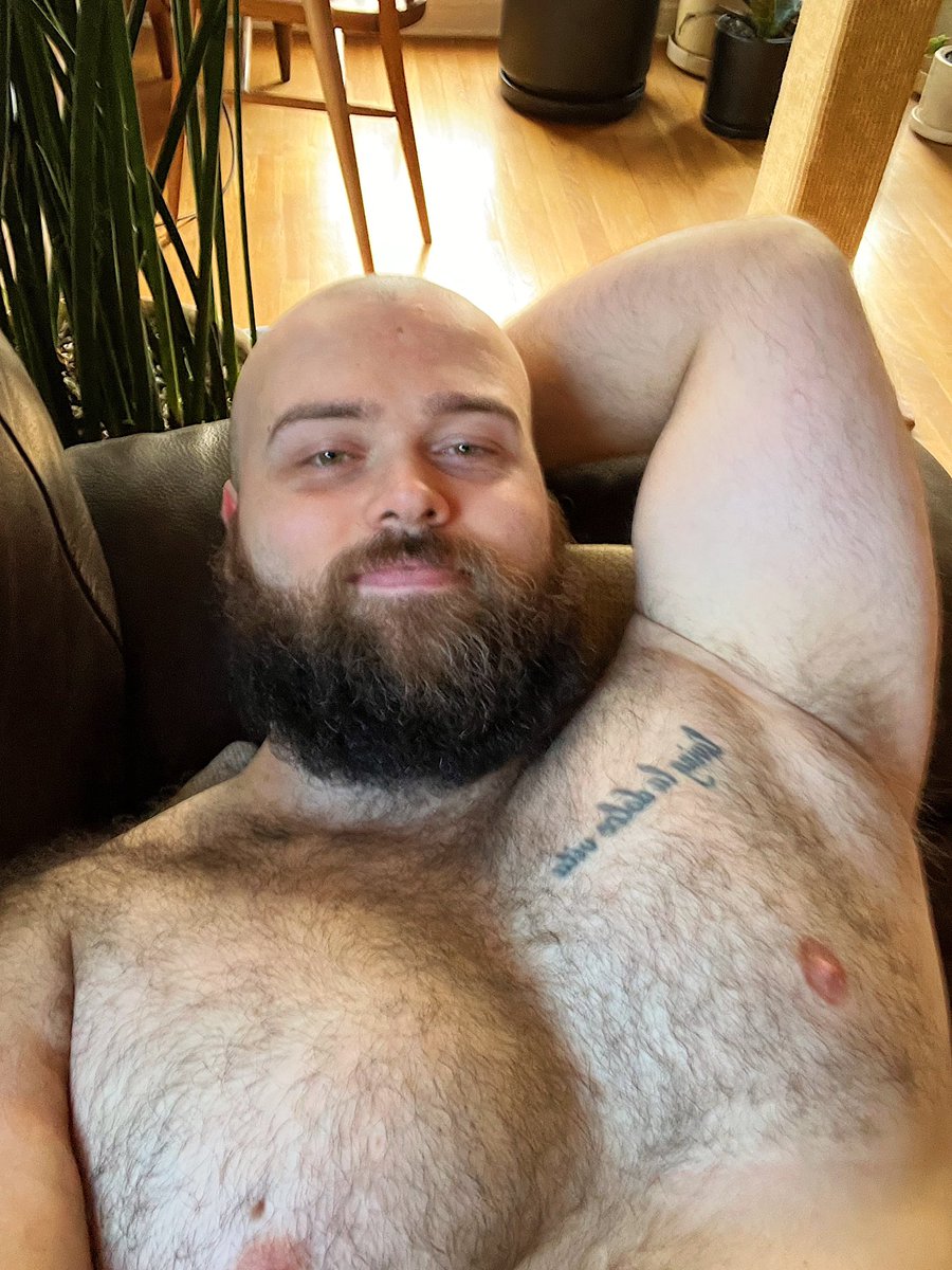 plantdadcatdad's tweet photo. hey hi good morning https://t.co/SWqEWNiX24