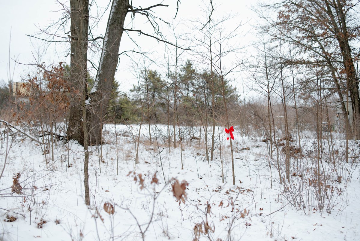 Land Conservancy of West Michigan tweet media