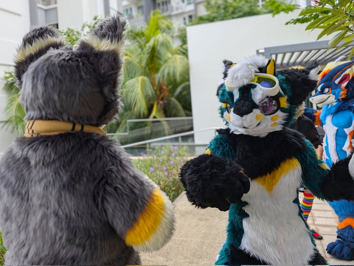 "What do you mean u guys have yet to order food delivery???"
📸: <a href="/Azerawr/">Cholf</a>
#furry #fursuit  #FursuitEveryday #FursuitFriday