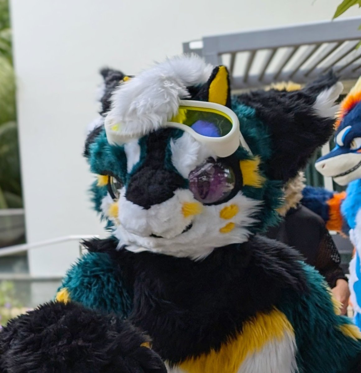 Have a good weekend everyone!!! (Me panic knowing there is no food after fursuiting)