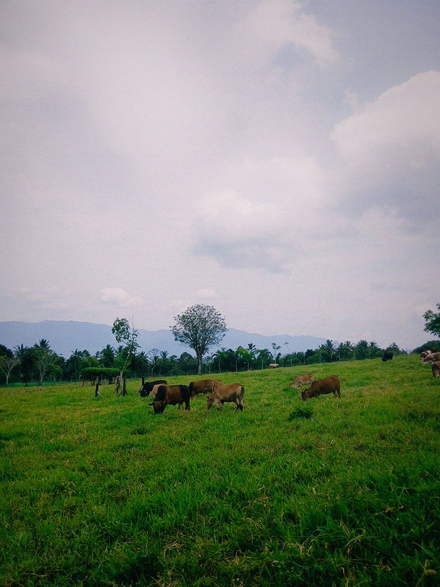 userbukanplayer's tweet photo. #jepret cantik bgt view nya https://t.co/5ii7dVHsmf