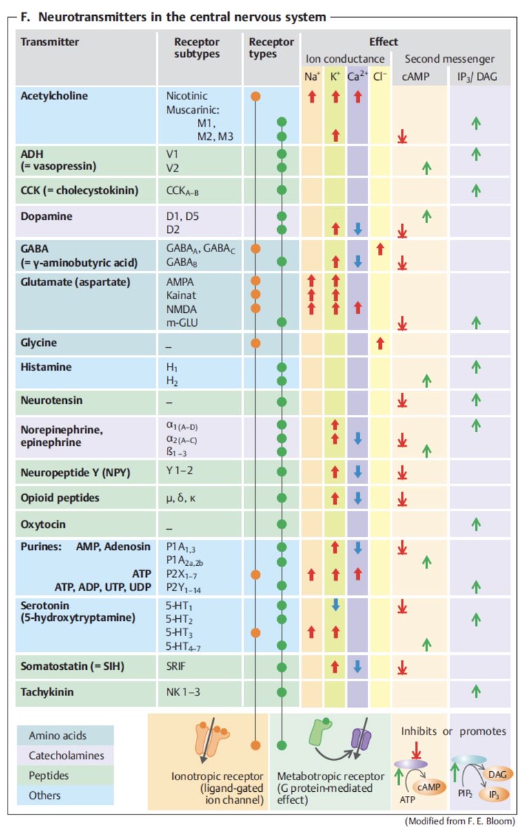Great one on Neurotransmitters