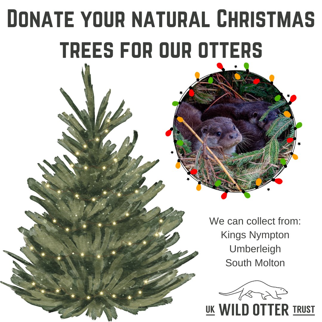 UK Wild Otter Trust tweet media