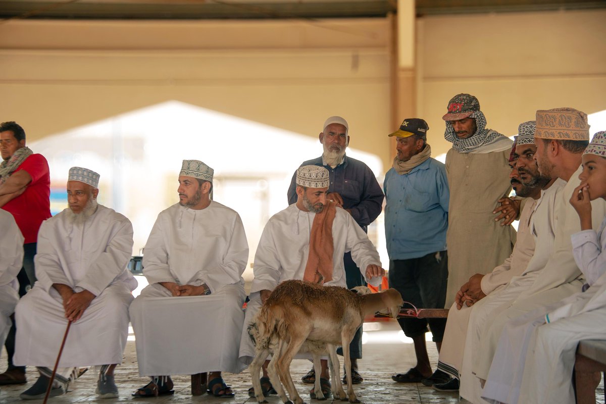 يبذل أهالي سناو جهودا طيبة لإعادة الحياة لكبرة سناو التي كانت زاخرة بالحركة المشهودة على مستوى عمان. وهم يأملون عودة بعض الأنشطة التي أغلقت زمن كرونا. غير إن الجهات المسؤولة الرسمية لم تتخذ خطوة فعالة في هذا الشأن. هذه الأنشطة توقفت منذ كرونا. عادت الأنشطة لجميع الأسواق عدا سناو.