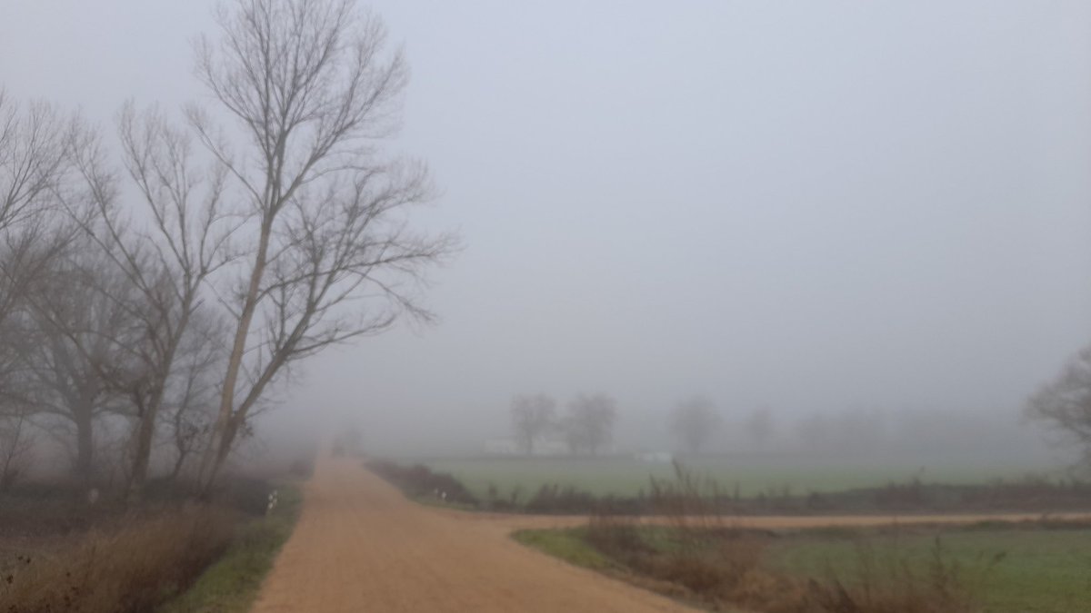 Siguen las nieblas en Fuentesaúco, Zamora. <a href="/agomezmeteo_tve/">Andrés Gómez</a> <a href="/ElTiempo_tve/">El Tiempo en TVE</a> <a href="/fcocachometeo/">Francisco Cacho</a> <a href="/lasextameteo/">La Sexta Meteo</a> <a href="/sibilafc/">Silvia Ferrer</a> <a href="/meteosegovia/">Adrián Escobar</a> <a href="/anamaria190977/">Ana María Herrero</a> <a href="/tomeandres/">Andrés Tomé</a> <a href="/martinraul16/">Raúl Martín☀️⛈🚴🏼‍♂️🎄🌟</a> <a href="/JoannaIvars/">JoannaIvars</a> <a href="/TiempoCyLTV/">El Tiempo en CyL</a> <a href="/tiempobrasero/">Tutiempo</a>