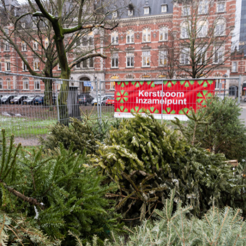 De lampjes en kerstballen zijn naar zolder, maar wat doe je met je kerstboom? Vanaf 2 januari breng je hem naar een inzamelpunt. Of laat hem ophalen tijdens de speciale inzameldagen. Voor meer informatie, kijk op: bit.ly/3DGmQJq