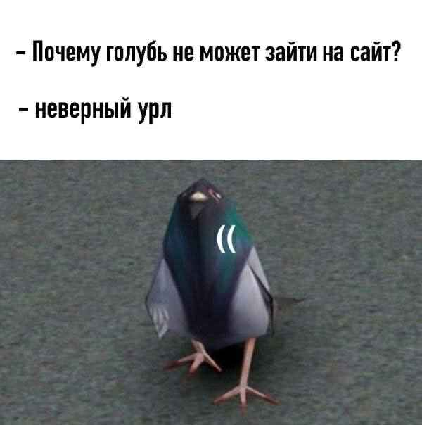 Spanish_Kortez's tweet image. 