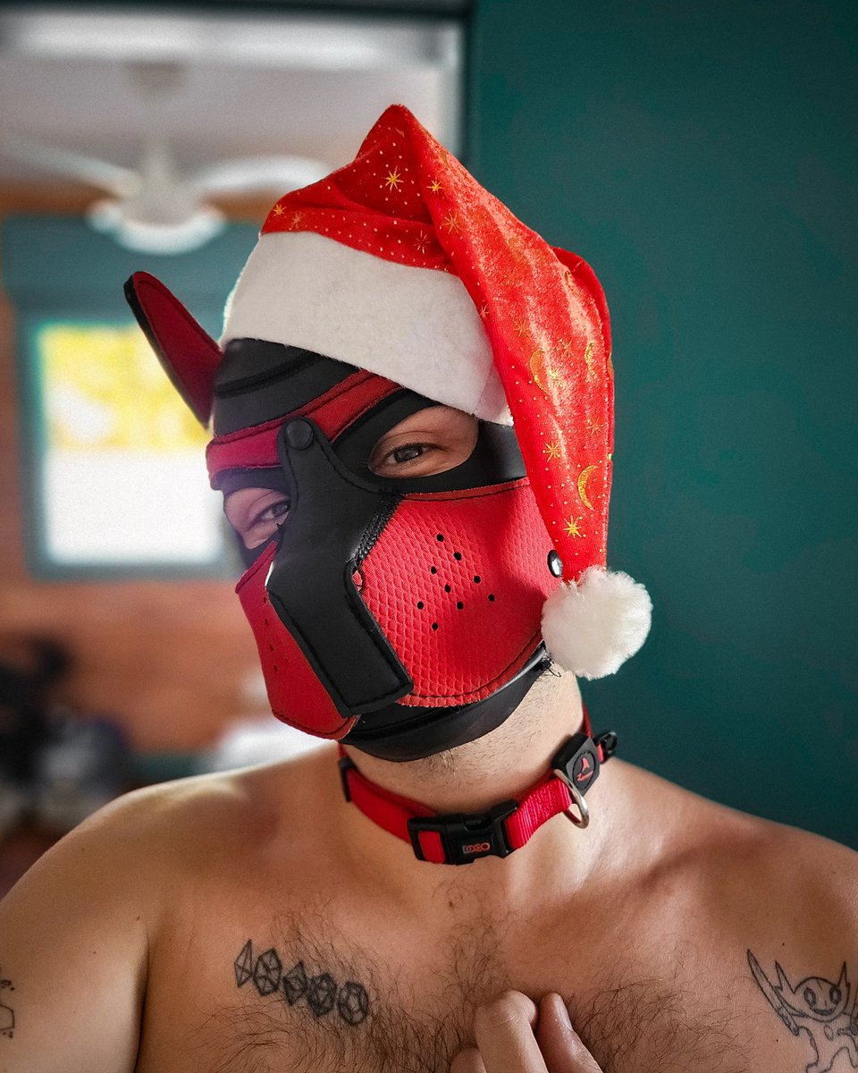 Pup Lazo tweet media