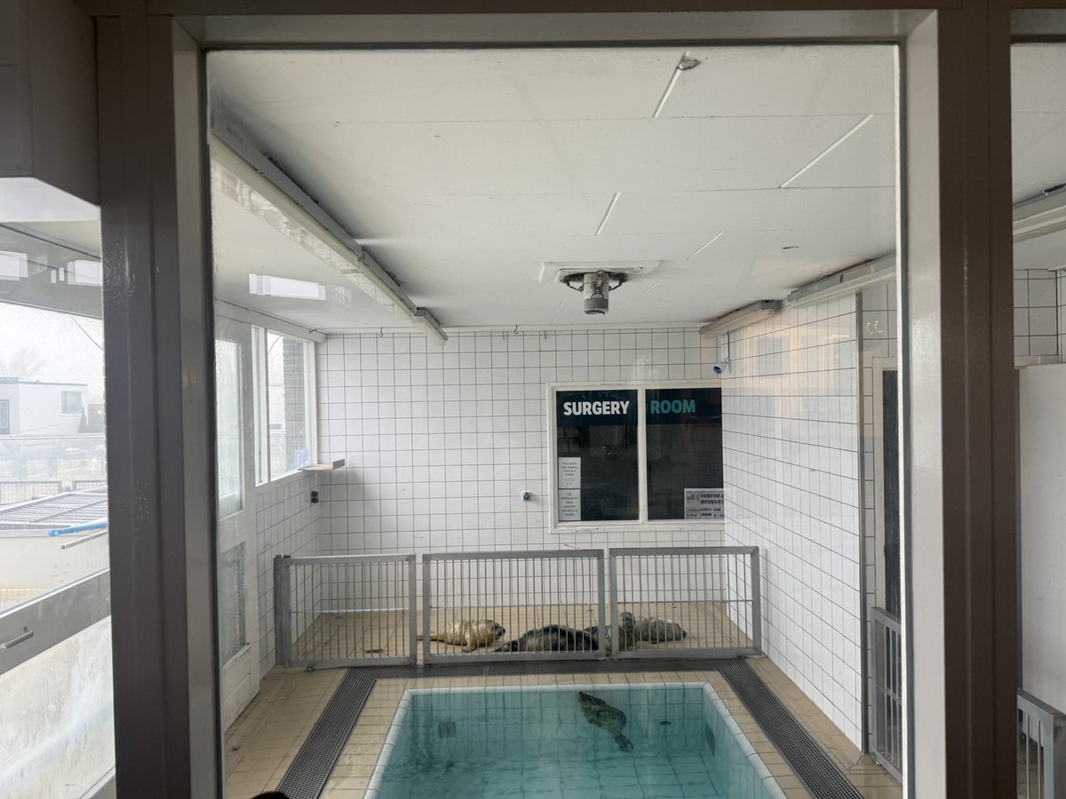 Michael Sijbom (@michaelsijbom) on Twitter photo Nu het nog kan op de locatie in Pieterburen: opgevangen zeehonden bekijken. Straks in Lauwersoog in nieuwe <a href="/WEC_Waddenzee/">Werelderfgoedcentrum Waddenzee</a>! Nu het nog kan op de locatie in Pieterburen: opgevangen zeehonden bekijken. Straks in Lauwersoog in nieuwe <a href="/WEC_Waddenzee/">Werelderfgoedcentrum Waddenzee</a>!