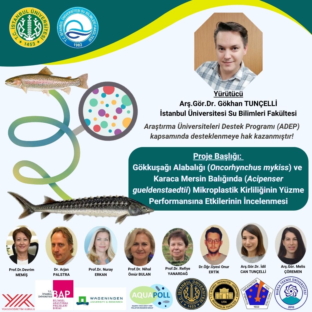 gokhan_tuncelli's tweet photo. Projem kabul oldu 🥳 Büyük bir emekle ve çok güzel bir iş birliği ile hazırladığımız projemizin, bugün @iu_bap dan gelen e-posta ile kabul olduğunu öğrendim. Yürütücü olarak kabul aldığım ilk proje olduğu için benim için anlamı büyük☺️ @iusubilimleri @istuniresmi https://t.co/NdldJnoEjJ
