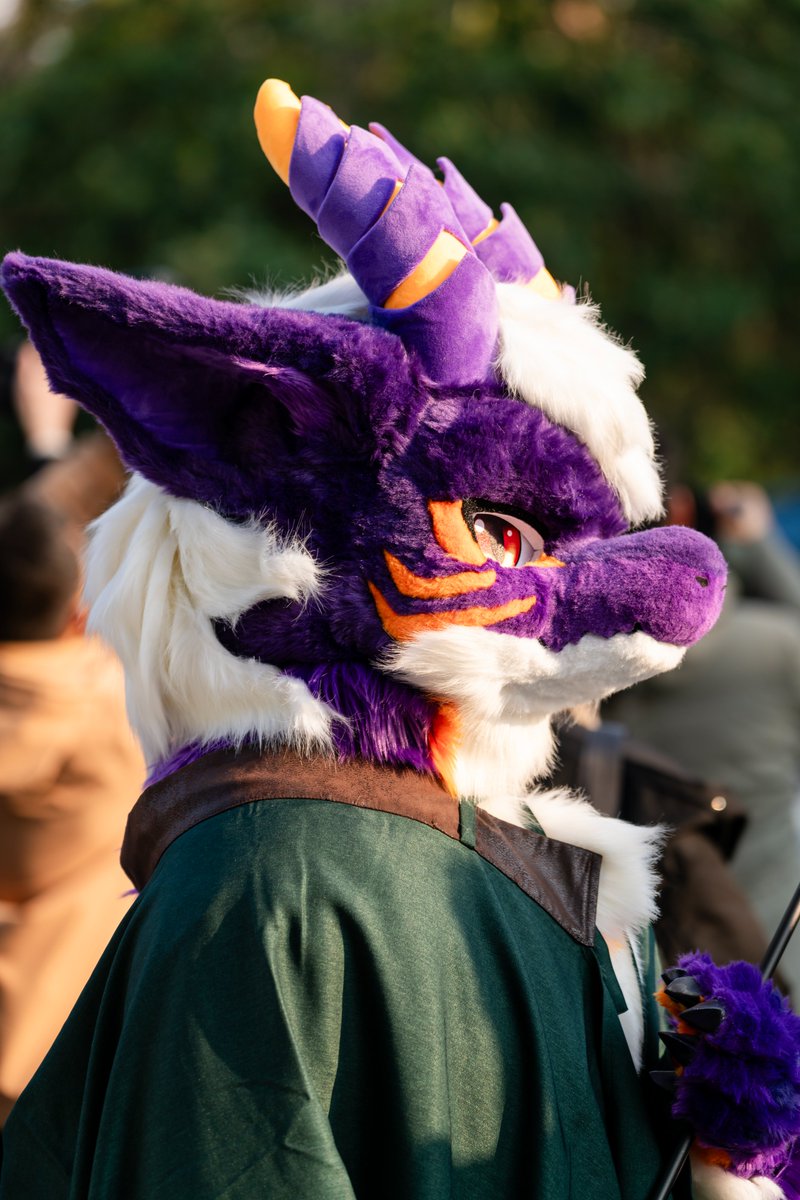 #FursuitFriday 
是新的毛五