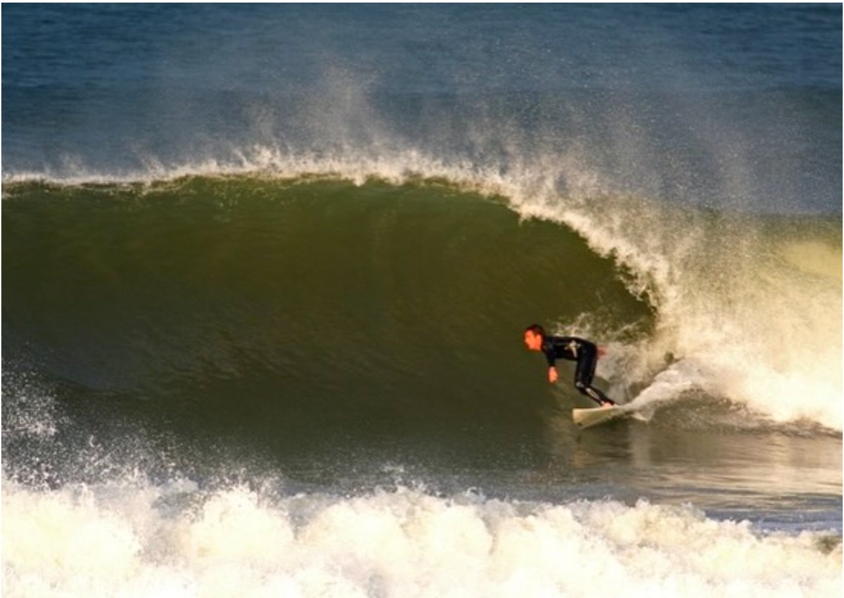 SURF TRAINING SCHOOL tweet media
