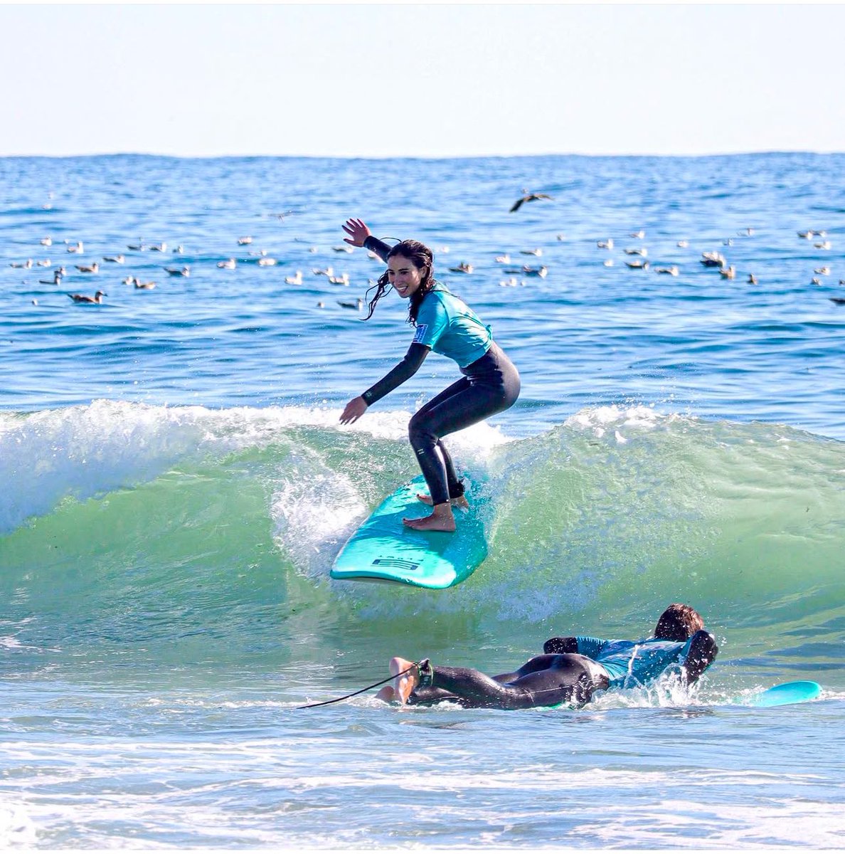 SURF TRAINING SCHOOL tweet media