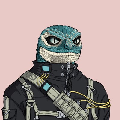 wallaby_jones1's tweet image. #NewProfilePic $WAA #FEL