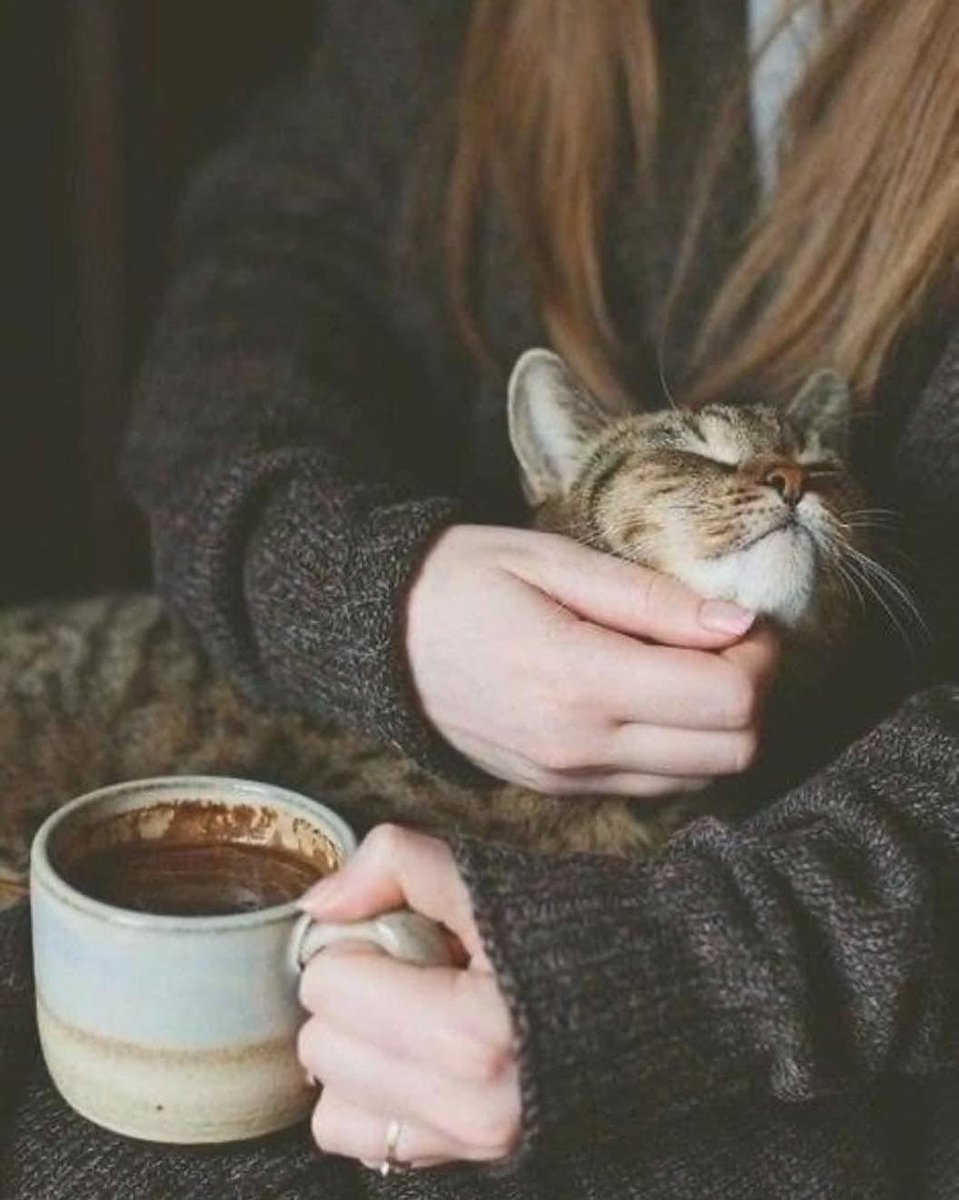 WeAssessCats's tweet photo. ☕ https://t.co/hdacEHLGvY