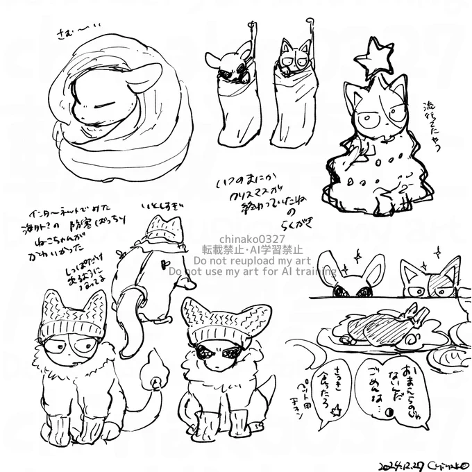 ちわときゃ 