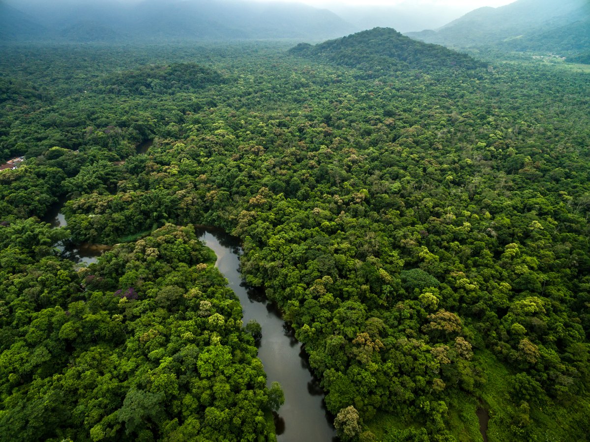 Transform your supply chains with the Accountability Framework! 

The Framework offers companies guidance on how to remove deforestation, conversion, and human rights abuses from their soft commodity supply chains.