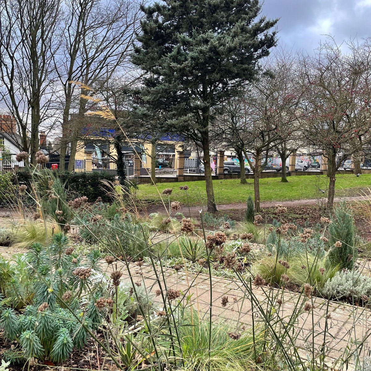 Lots of winter interest in the flowerbeds we planted earlier this year in Jubilee Gardens if you fancy a bit of fresh air in the park during the holidays.
#CrystalPalacePark