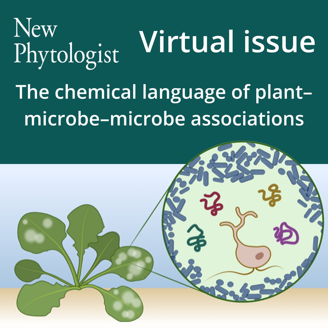 Virtual Issue: The chemical language of plant-microbe-microbe associations

nph.onlinelibrary.wiley.com/doi/toc/10.111…

The chemical language between #plants and #microbes, and among microbes, is critical for understanding biological organization, beneficial associations and ecosystem function.