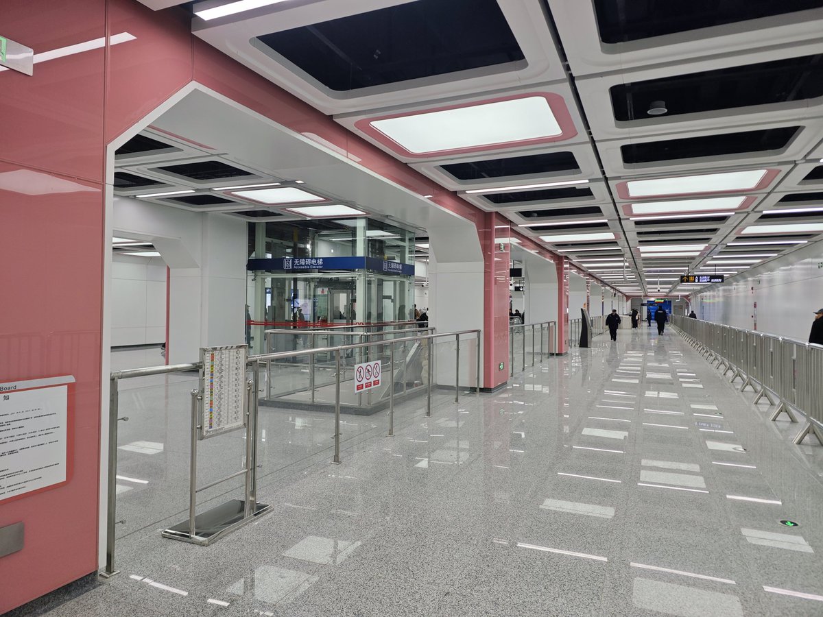 🌰🐢Gurily tweet media