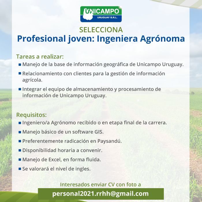 ¡Te estamos buscando!
Seleccionamos profesional joven: Ingeniera Agrónoma.

👉Enviar CV con foto a: personal2021.rrhh@gmail.com