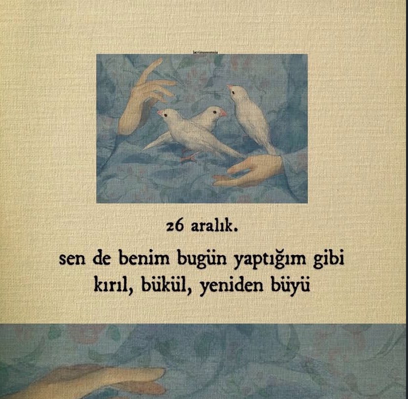 lacrimae rerum (@lacrimmaererum) on Twitter photo 