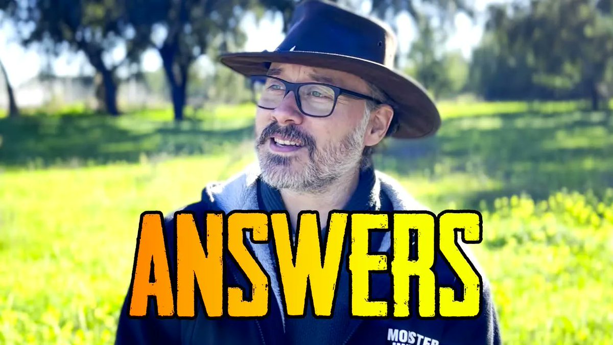 Rurikhan tweet media