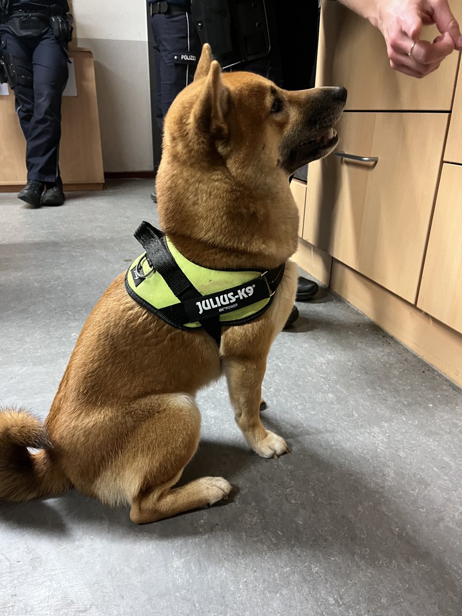 +++ Hund am Kanal ausgesetzt – Wer kennt den Vierbeiner? +++
Am frühen Donnerstag (26.12., 00:30 Uhr) nahmen Polizisten einen offenbar ausgesetzten Hund am Rügenufer in ihre Obhut.
Mehr dazu hier: 🔗
muenster.polizei.nrw/presse/hund-am…
____
#PolizeiMünster #Münster #Haustier