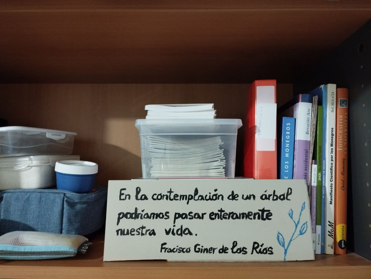 Paco Iturbe tweet media