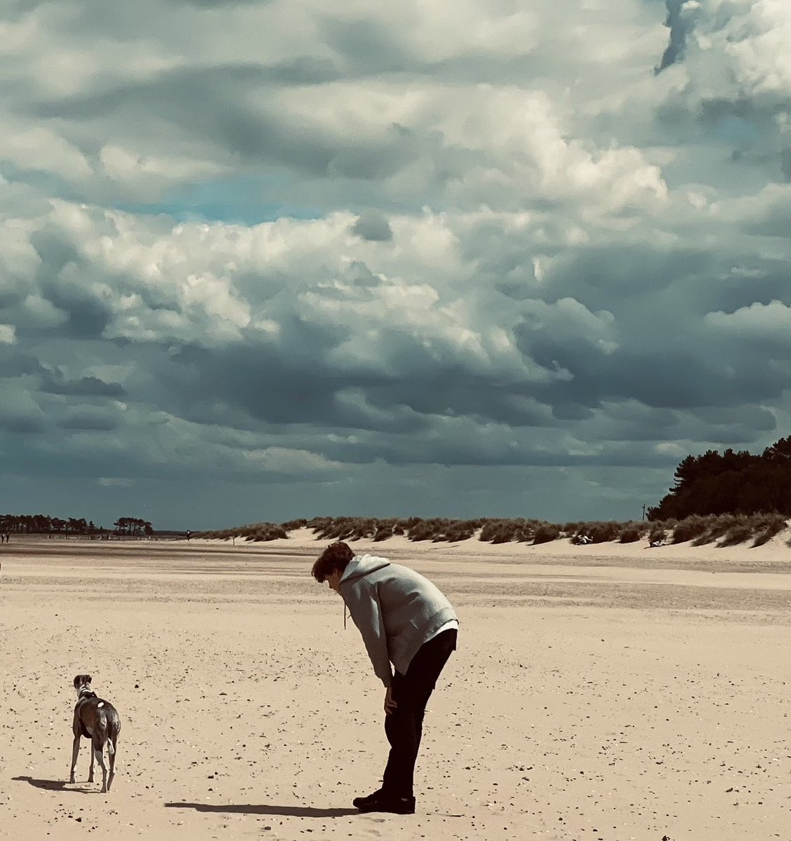 Tony Paley tweet media