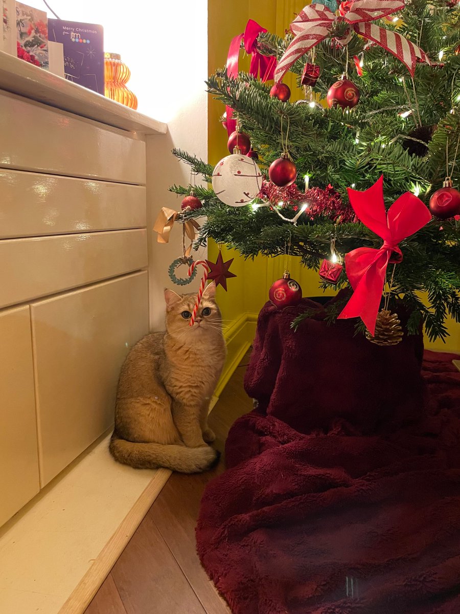 tedlaviscoward's tweet photo. coming back on here to let everyone that i nailed christmas once again https://t.co/gNv3MwTdOr