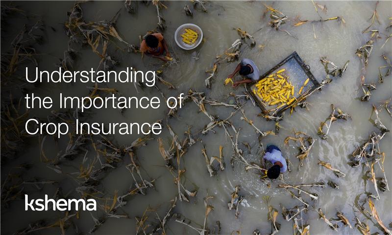 Kshema_Suraksha's tweet image. Protect your harvest, secure your future! 🌾 Dive into why crop insurance is a game-changer for farmers. Read more: kshema.co/understanding-…

#FarmersFirst #KshemaGeneralInsurance #CropInsurance
