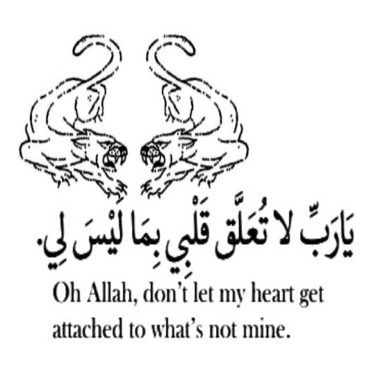 matheus (@matheoslacerda) on Twitter photo 