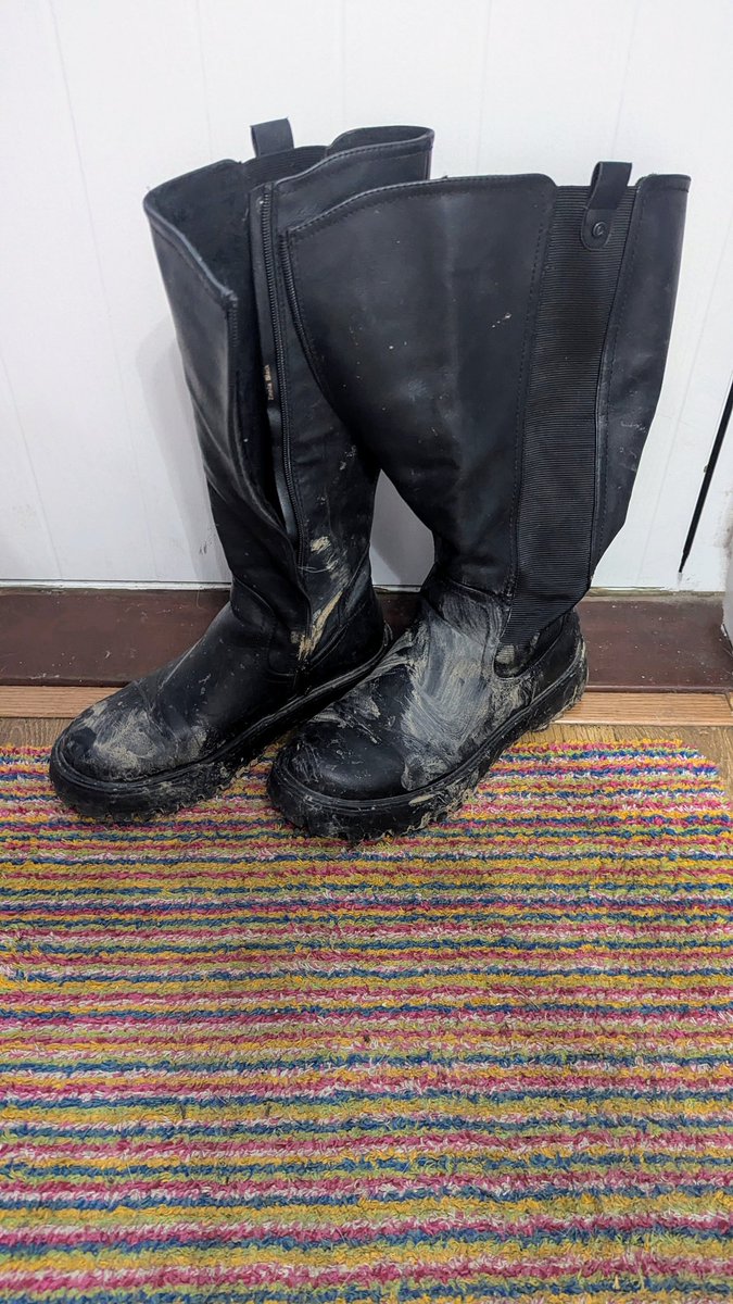 FlrExploring's tweet image. Any boot loving boys near Essex needing a job? #muddy #boots