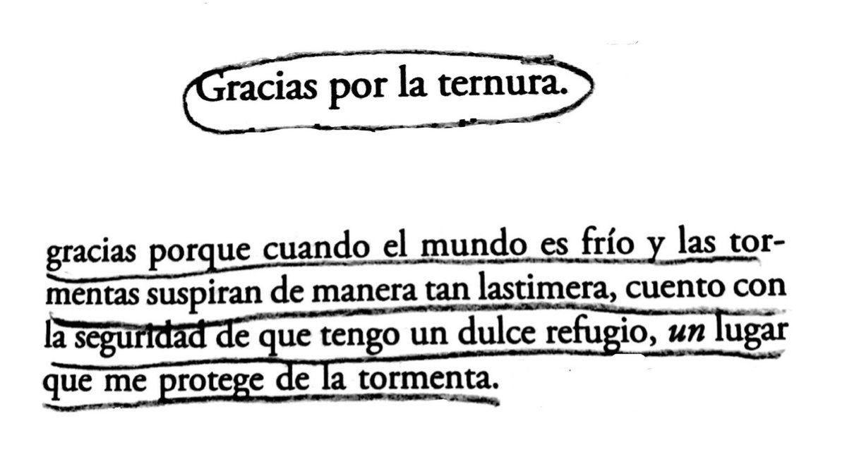 Cementedelibros's tweet photo. “Tengo un dulce refugio, un lugar que me protege de la tormenta ❤️‍🩹”
Emily Dickinson a Susan Gilbert.
¿Conoces el libro?
#cementeriodelibros https://t.co/ARlpFYyUwE