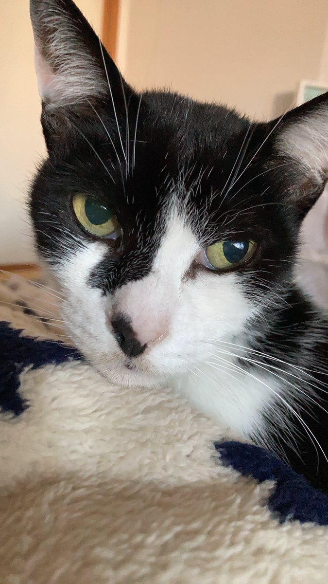 ただいまぁ〜🤗
お疲れ様でした😺🤩😸
今日は寒かったですね
🥶🥶🥶🥶🥶🥶🥶🥶
嫁さんの運転練習してたら😂雪が降ってきてビックリ😂
チラチラだったから、助かったけどね😅
ありがとうございます
宇宙様😺🙇😸

ジムトレ明日までなので、みっちりやってきた💪💪💪💪💪🔥
あしたも負荷をかけないとね😂