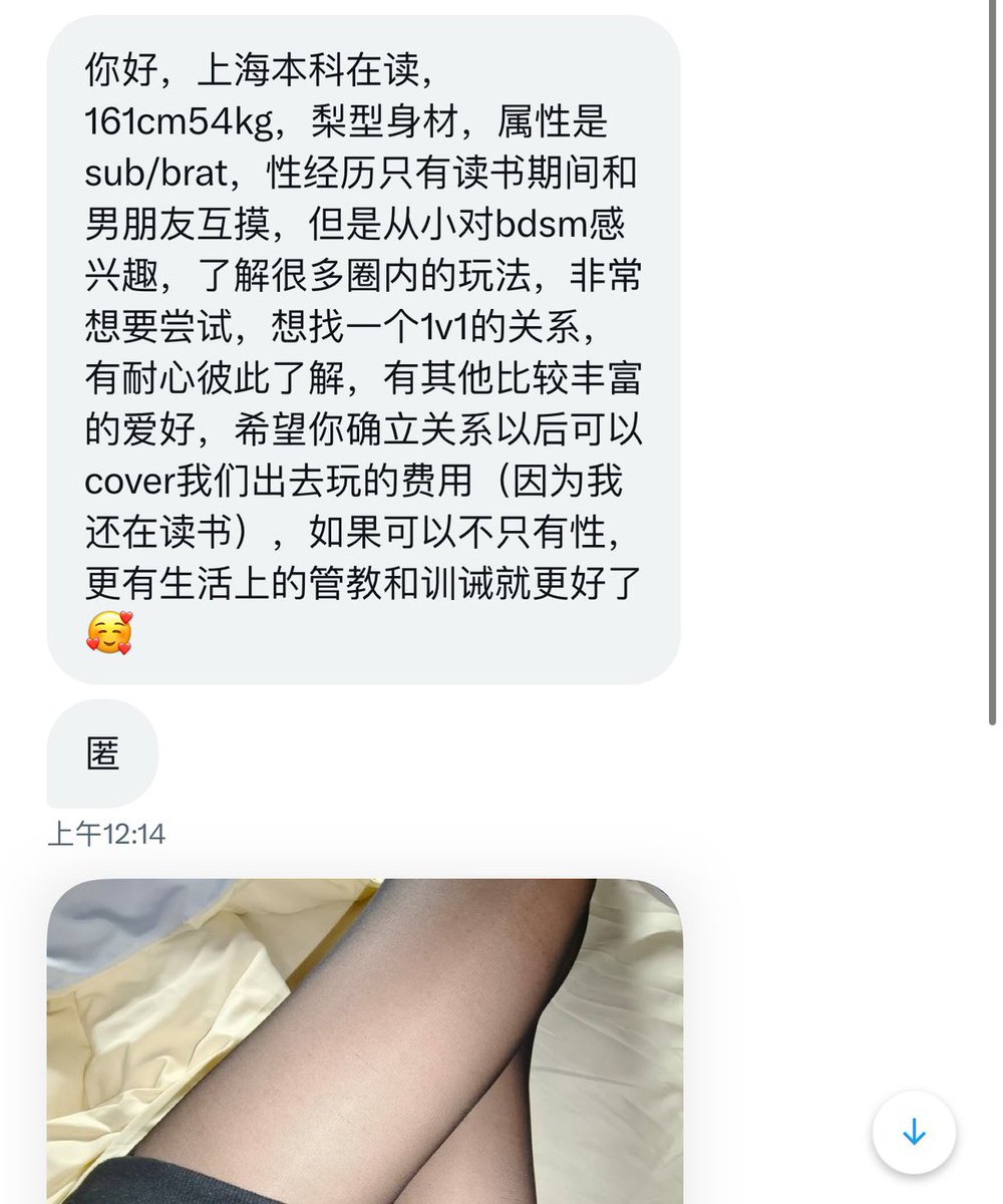 魔都投稿 tweet media